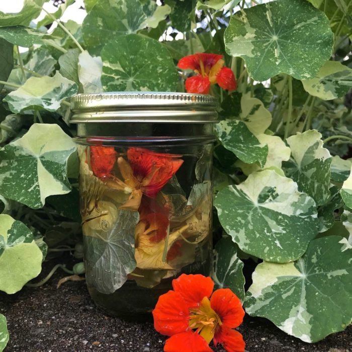 how-to-make-flavored-vinegar